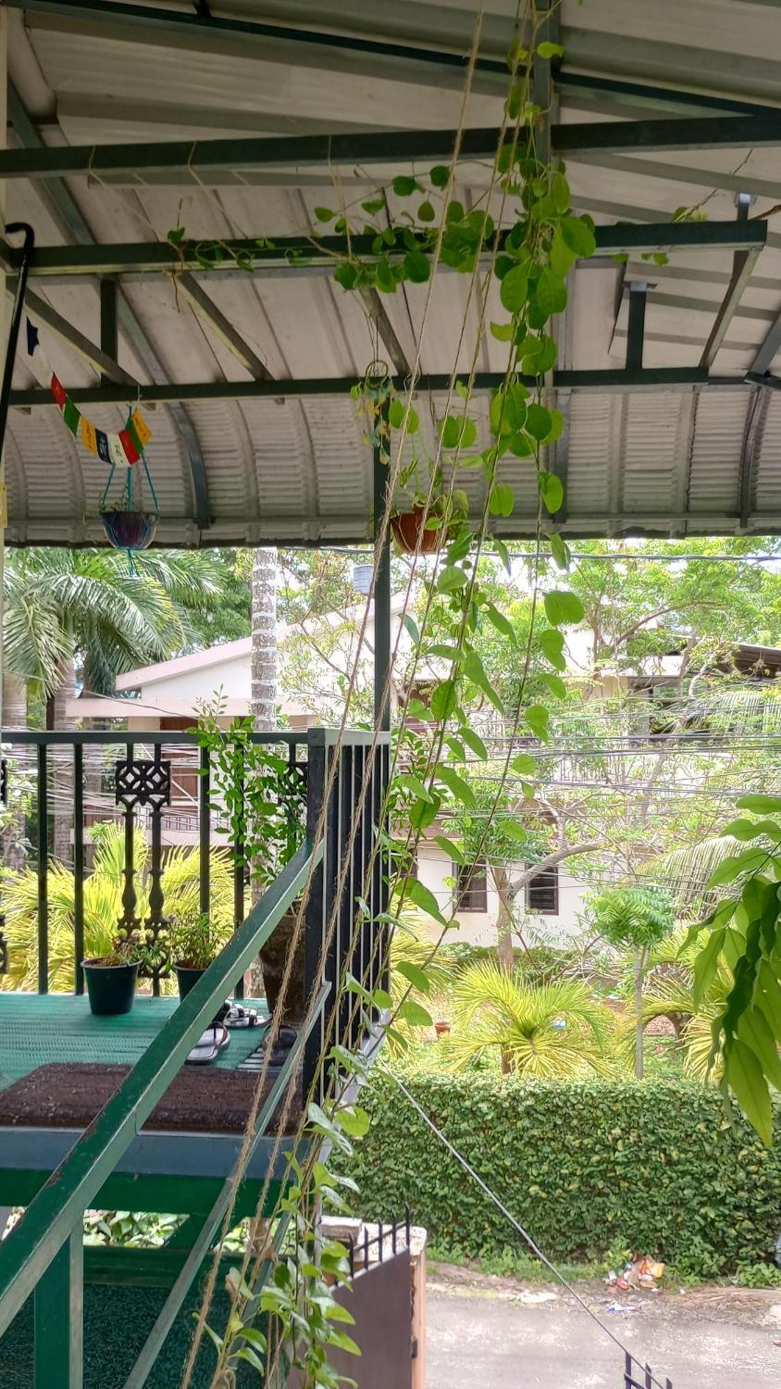 Paradise Homestay アーラップーザ県 エクステリア 写真